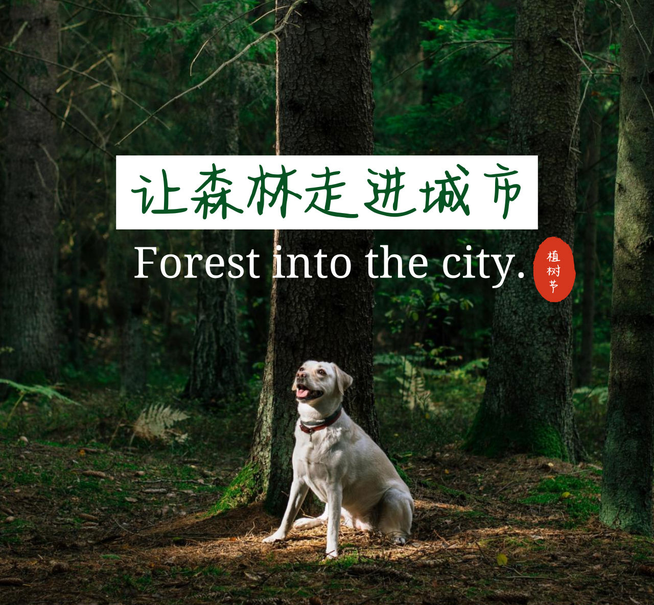 植樹(shù)節(jié)圖片